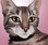 digital-illustration_ws_1362082049