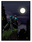 digital-illustration_ws_1362713172