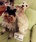 pet-modeling_ws_1363321869
