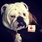 pet-modeling_ws_1363552663