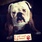 pet-modeling_ws_1363553222