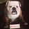 pet-modeling_ws_1363553730