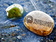 banner-advertising_ws_1363623468