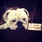 pet-modeling_ws_1364066646