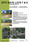 creative-brochure-design_ws_1364272259