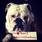 pet-modeling_ws_1364581136