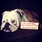 pet-modeling_ws_1364581219