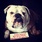 pet-modeling_ws_1364671650