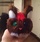 arts-crafts-gifts_ws_1365134799