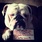 pet-modeling_ws_1365279186