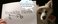 extremely-bizarre_ws_1365279432