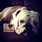 pet-modeling_ws_1365282287