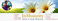 web-banner-design-header_ws_1365459144