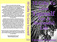 Ebook_Covers_Packages_work_sample_from_elle124_1349615728