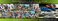 web-banner-design-header_ws_1365863170