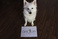 extremely-bizarre_ws_1366021738