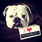 pet-modeling_ws_1366488931