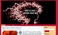 website-design_ws_1366552440