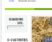 wordpress-services_ws_1366585900