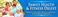 web-banner-design-header_ws_1367044982