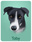 create-cartoon-caricatures_ws_1367085280