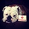 pet-modeling_ws_1367870941