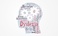 graphics-services_ws_1368091058