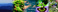 web-banner-design-header_ws_1368331467