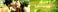 web-banner-design-header_ws_1368337395