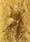 other_ws_1368395959