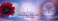 web-banner-design-header_ws_1368542885