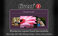 css-html-programmers_ws_1368732488