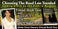 web-banner-design-header_ws_1368795322