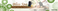 web-banner-design-header_ws_1368802368