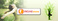 custom-fan-pages_ws_1368851763
