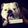 pet-modeling_ws_1368985090