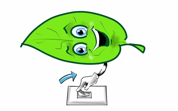 alt_text.html_safe