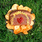 just-for-fun_ws_1369952562