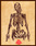 digital-illustration_ws_1369970280