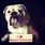 pet-modeling_ws_1370122271