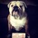 pet-modeling_ws_1370123133