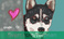 create-cartoon-caricatures_ws_1370559918