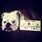 pet-modeling_ws_1370899563