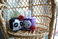 arts-crafts-gifts_ws_1371045031