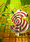 ebook-covers_ws_1371180130