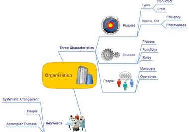 Mind Map Sample