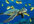Green_sea_turtle