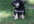 _cid__0530091810a_0001