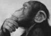 Thinker