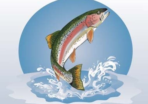 Trout